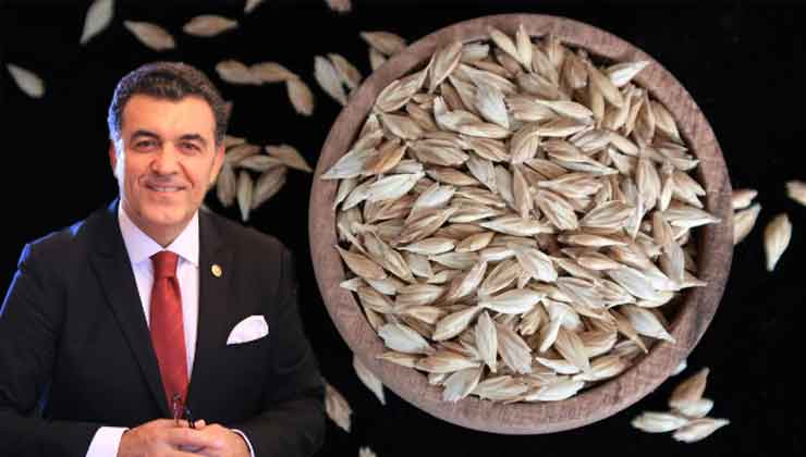 Faruk Demir: Ardahan Kavılca Buğdayı Tescillendi