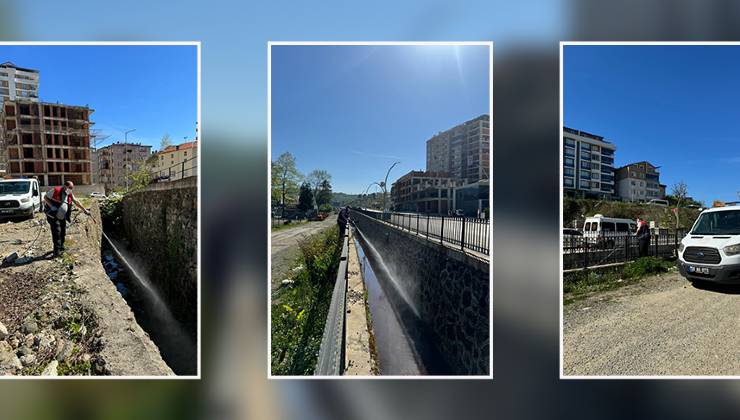 Giresun Belediyesi Veteriner İşleri Müdürlüğü tarafından, şehrin çeşitli bölgelerinde artan haşere popülasyonuna karşı kapsamlı bir ilaçlama çalışması başlatıldı.