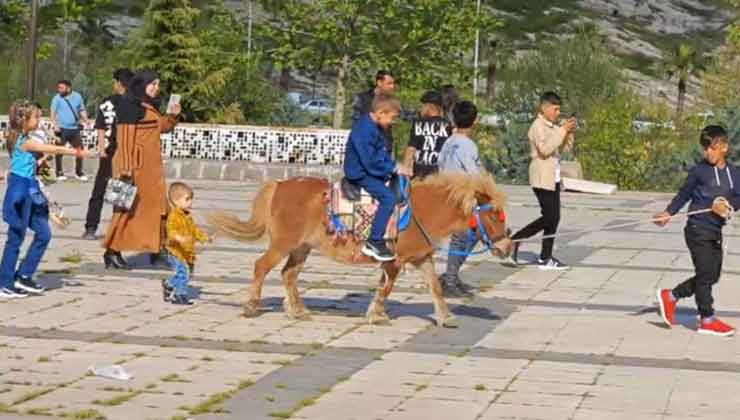 Şanlıurfa'da Çocukların At Binme Sevinci