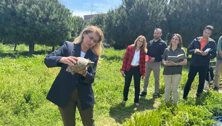 Bakırköy Botanik Park Revize Ediliyor