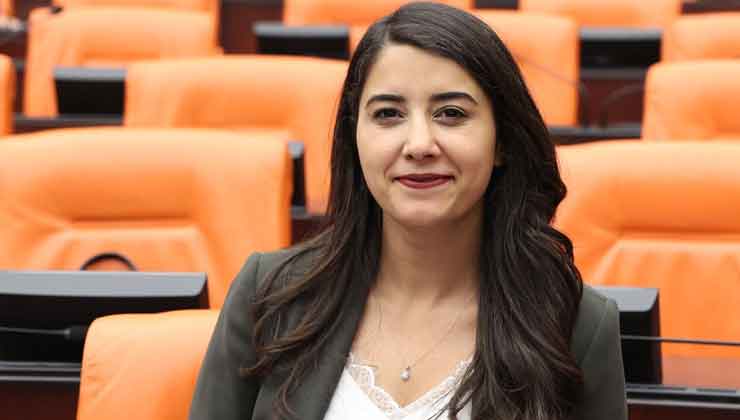 Vekil Ayan, DEDAŞ Sorununu Meclise Taşıdı