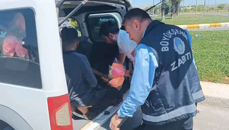 Zabıta Operasyonunda 6 Dilenci Yakalandı