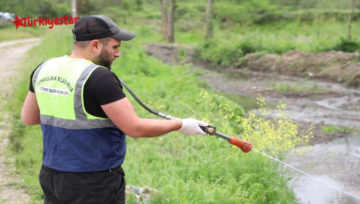 Veteriner İşleri Müdürlüğü ekiplerimiz tarafından çevre ve halk sağlığını korumak amacıyla yaz aylarında yoğun şikayet konusu olan sinek ve haşerelere karşı mücadele çalışmalarına başladı.