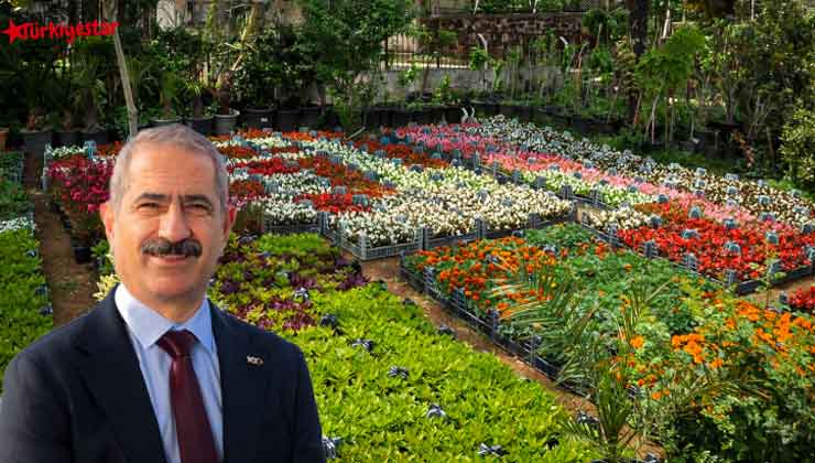 Adalar Belediyesi Çiçekleri Satışa Sundu