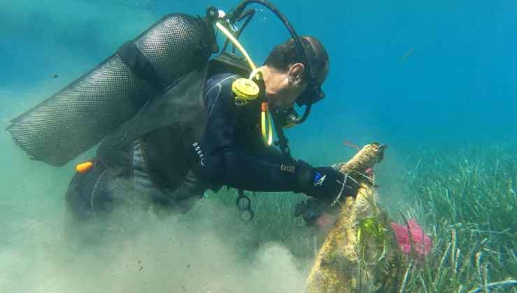 Bodrum'da Denizden 2,5 Ton Atık Çıkarıldı