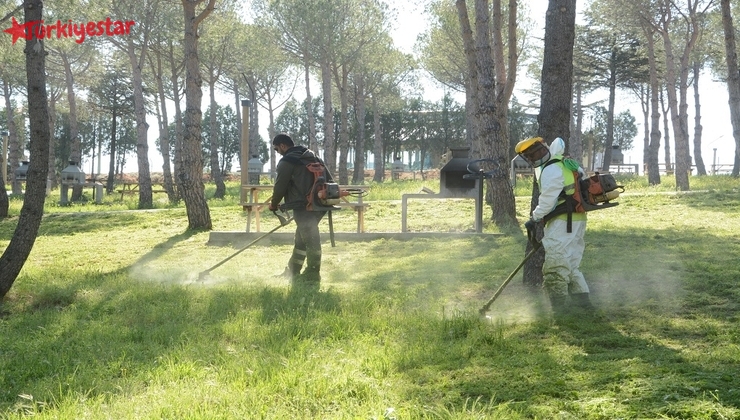 Tekirdağ Büyükşehir Belediyesi Park ve Bahçeler Dairesi ekipleri, daha yeşil ve nefes alan bir Tekirdağ için 11 ilçede durmaksızın çalışıyor.