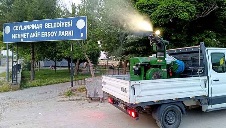 Ceylanpınar'da İlaçlama Gece Gündüz Sürüyor