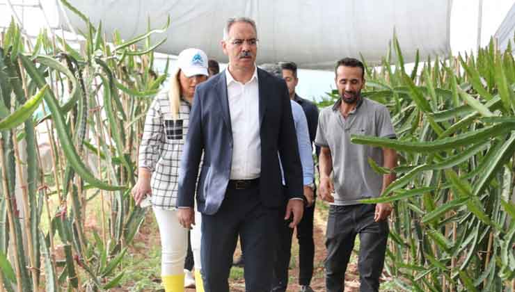 Eyyübiye'de Çiftçilere Eğitim Desteği