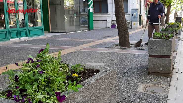 Yalova Belediyesi tarafından şehir estetiğini güzelleştirmek adına ekilen çiçekler, kimliği belirsiz kişi ve kişilerce sökülerek yola atıldı.