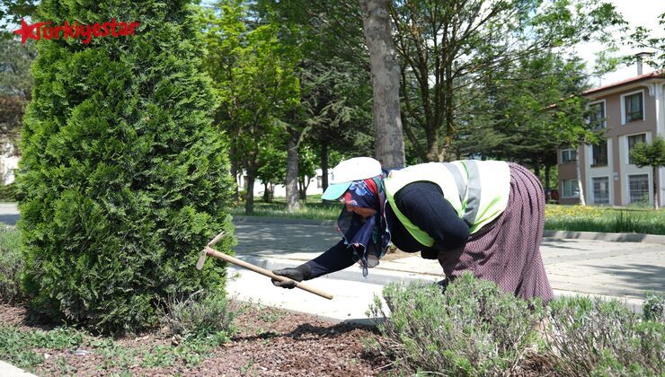Bolu Belediyesi Park ve Bahçeler Müdürlüğü ekipleri baharın gelmesiyle birlikte şehrin dört bir yanında yoğun çalışma gerçekleştiriyor.