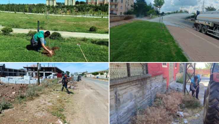 Viranşehir'de Park ve Bahçe Temizliği