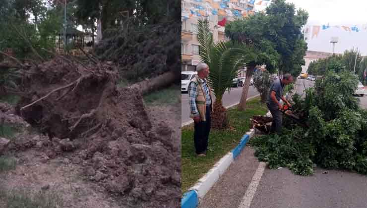 Birecik Belediyesi Fırtınaya Karşı Teyakkuzda!