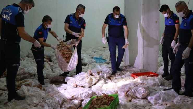 Haliliye'de 10 Ton Bozuk Tavuk Eti