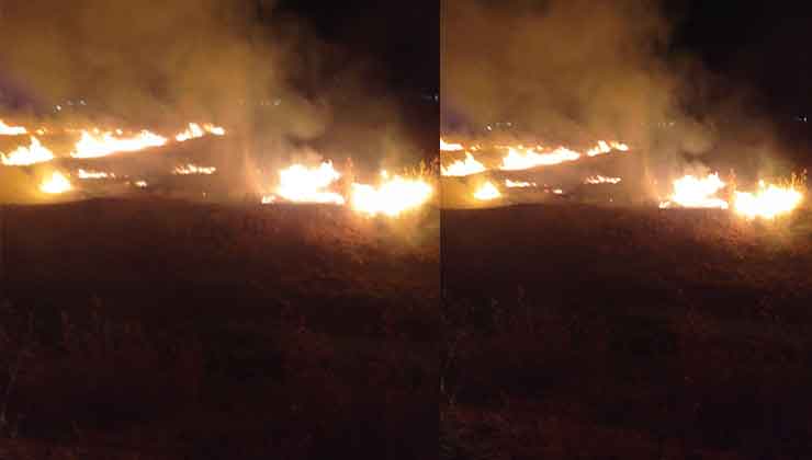 Şanlıurfa'da Gece Saatlerinde Yangın