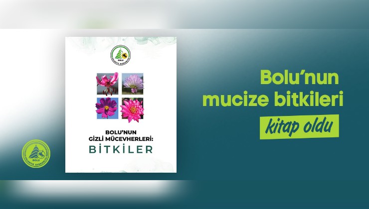 Bolu belediye 
