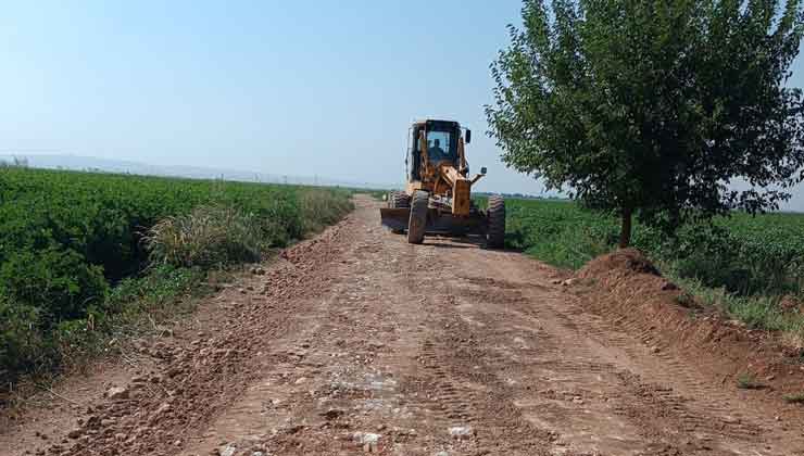 Suruç'ta Reglaj Çalışmaları Devam Ediyor