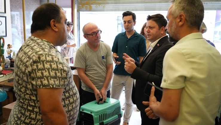 Kösedağı'dan Hayvan Katliamına Tepki