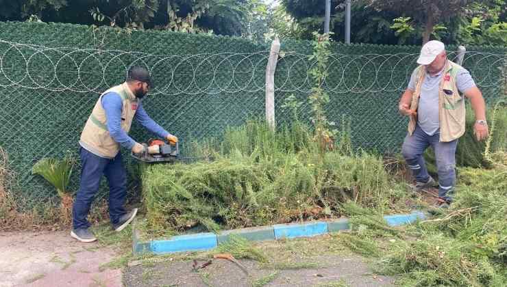 Birecik Parklarında Kapsamlı Çalışma