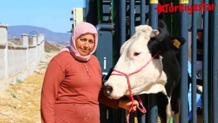Antalya Büyükşehir Belediyesi 