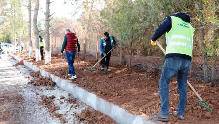 Akçakale'de Yeşil Alanlar Güzelliğe Kavuşuyor