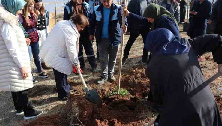 Bozova'da Kadınlar İçin Bir Fidan