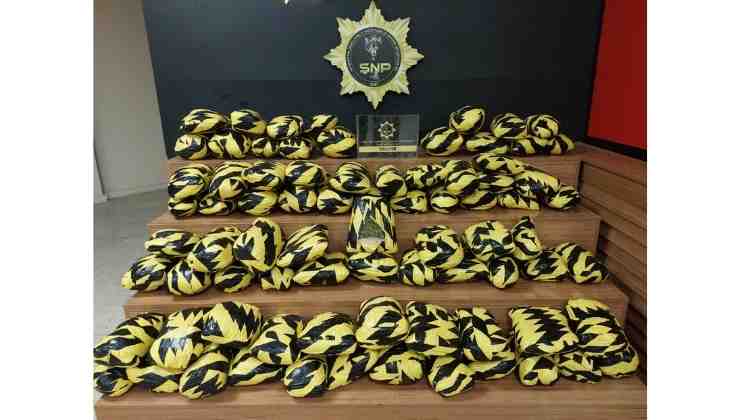 Şanlıurfa'da 55 Kilo Skunk Yakalandı