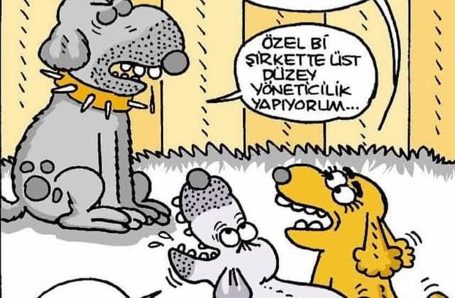 Hüseyin Acarlar: DİBACE/ Günce -299-