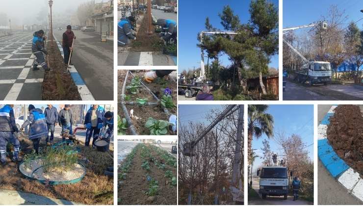 Birecik Belediyesi'nden Yenileme Çalışması
