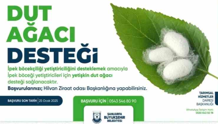 Şanlıurfa'da İpek Böceği Yetiştiriciliği Hibesi