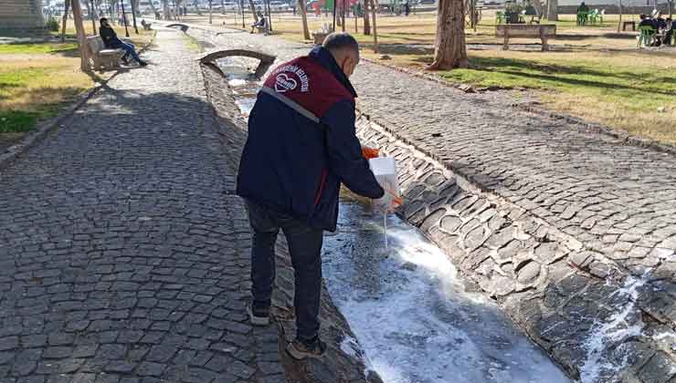 Viranşehir'de Lavra İle Mücadele Başladı