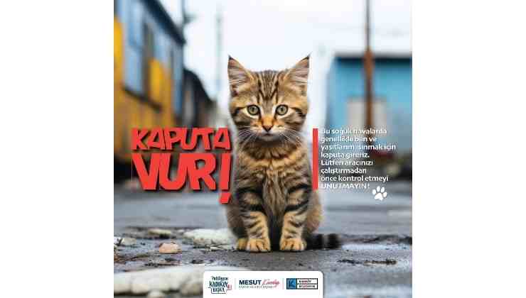 Kadıköy Belediyesi: Kaputa Vur