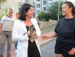 Edirne Başkanından Kedi Operasyonu