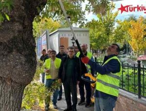Ardahan’da Ağaçlara Can Veren Bakım Çalışmaları!